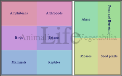 output from a customised treemap